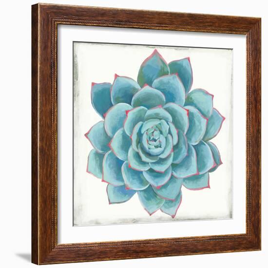 Pastel Succulent II-Aimee Wilson-Framed Art Print