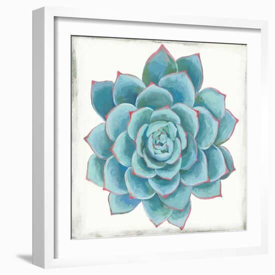 Pastel Succulent II-Aimee Wilson-Framed Art Print