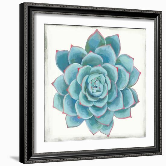 Pastel Succulent II-Aimee Wilson-Framed Art Print