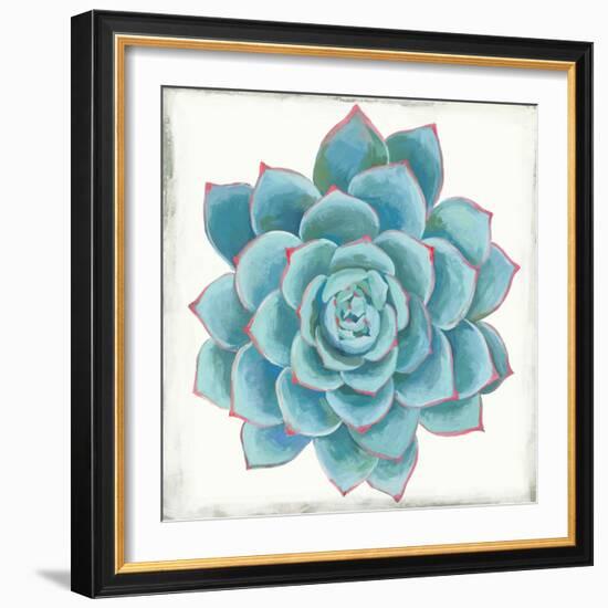 Pastel Succulent II-Aimee Wilson-Framed Art Print