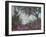 Pastel Tree III-Joseph Marshal Foster-Framed Art Print