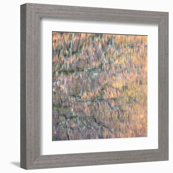 Pastel Waters 2-Doug Chinnery-Framed Premium Photographic Print