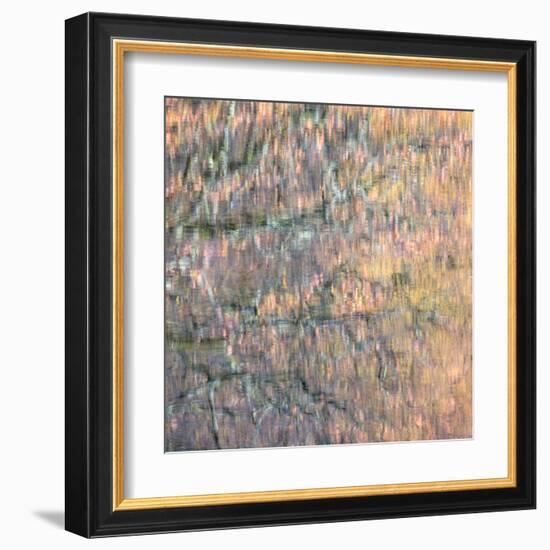 Pastel Waters 2-Doug Chinnery-Framed Premium Photographic Print