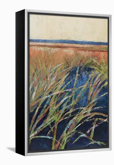 Pastel Wetlands I-Suzanne Wilkins-Framed Stretched Canvas