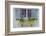 Pastel Windows IV-Laura DeNardo-Framed Photographic Print