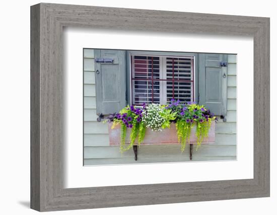 Pastel Windows IV-Laura DeNardo-Framed Photographic Print