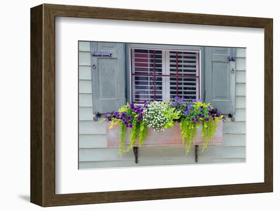 Pastel Windows IV-Laura DeNardo-Framed Photographic Print