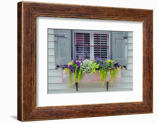 Pastel Windows IV-Laura DeNardo-Framed Photographic Print