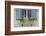 Pastel Windows IV-Laura DeNardo-Framed Photographic Print