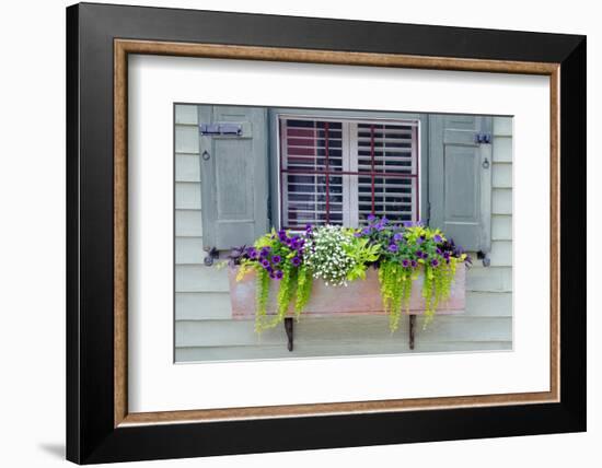 Pastel Windows IV-Laura DeNardo-Framed Photographic Print