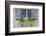 Pastel Windows IV-Laura DeNardo-Framed Photographic Print