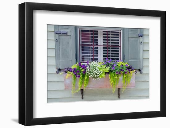 Pastel Windows IV-Laura DeNardo-Framed Photographic Print