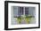 Pastel Windows IV-Laura DeNardo-Framed Photographic Print