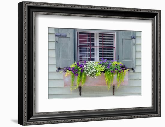 Pastel Windows IV-Laura DeNardo-Framed Photographic Print