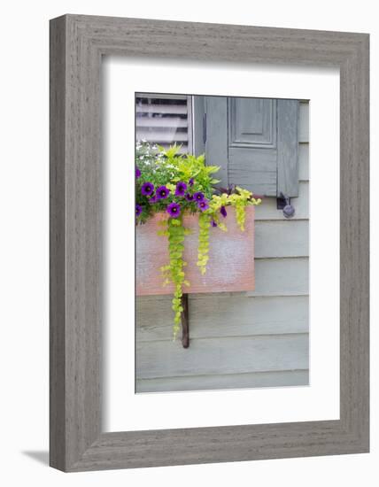 Pastel Windows V-Laura DeNardo-Framed Photographic Print