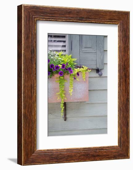 Pastel Windows V-Laura DeNardo-Framed Photographic Print