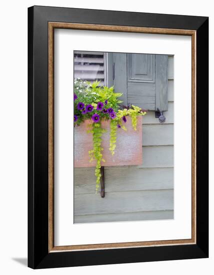 Pastel Windows V-Laura DeNardo-Framed Photographic Print