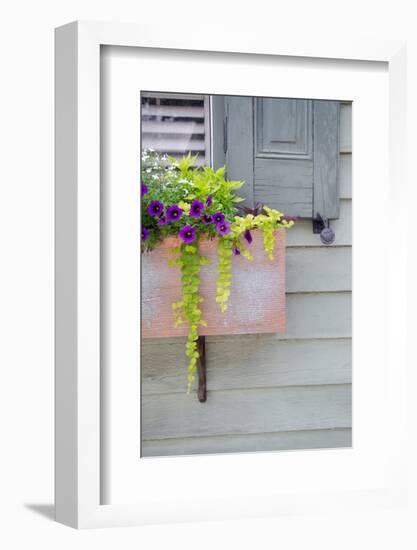 Pastel Windows V-Laura DeNardo-Framed Photographic Print