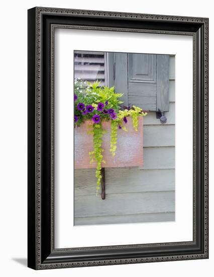 Pastel Windows V-Laura DeNardo-Framed Photographic Print