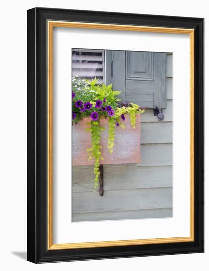 Pastel Windows V-Laura DeNardo-Framed Photographic Print