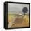 Pastoral Charm II-Megan Meagher-Framed Stretched Canvas