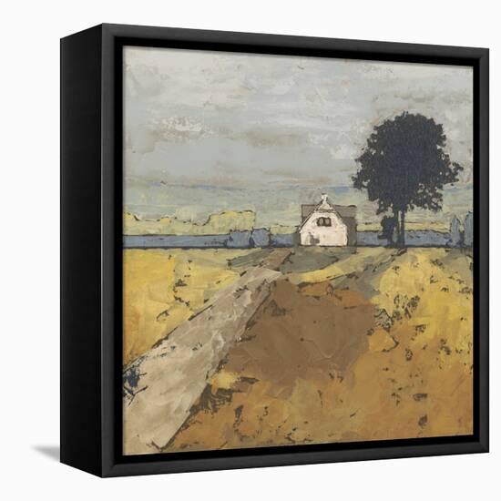 Pastoral Charm II-Megan Meagher-Framed Stretched Canvas