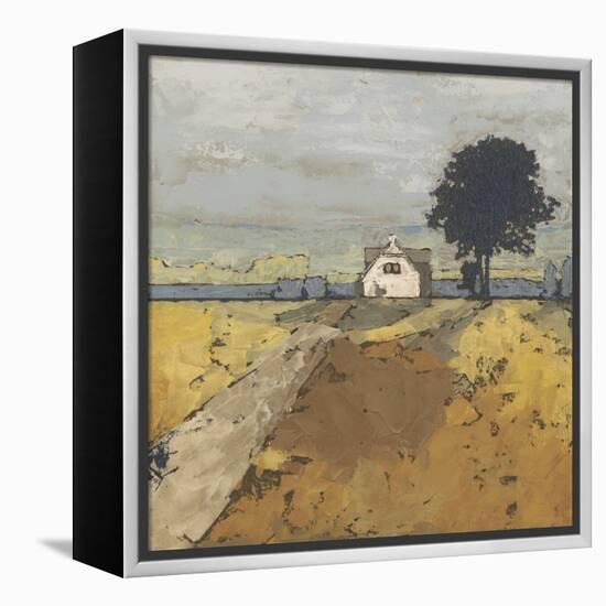 Pastoral Charm II-Megan Meagher-Framed Stretched Canvas