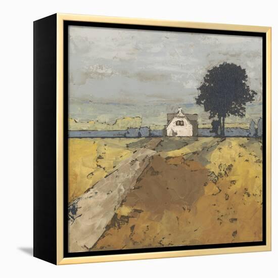 Pastoral Charm II-Megan Meagher-Framed Stretched Canvas