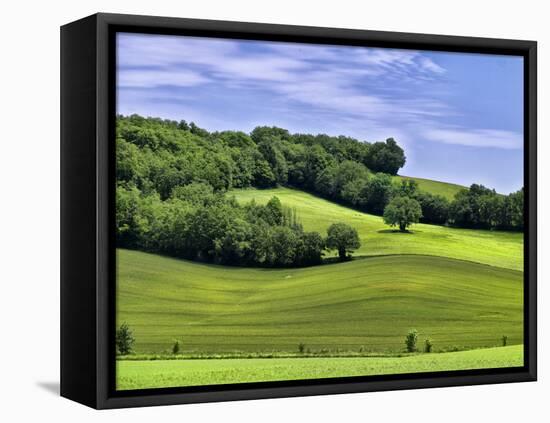 Pastoral Countryside II-Colby Chester-Framed Premier Image Canvas