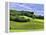 Pastoral Countryside II-Colby Chester-Framed Premier Image Canvas