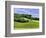 Pastoral Countryside II-Colby Chester-Framed Photographic Print