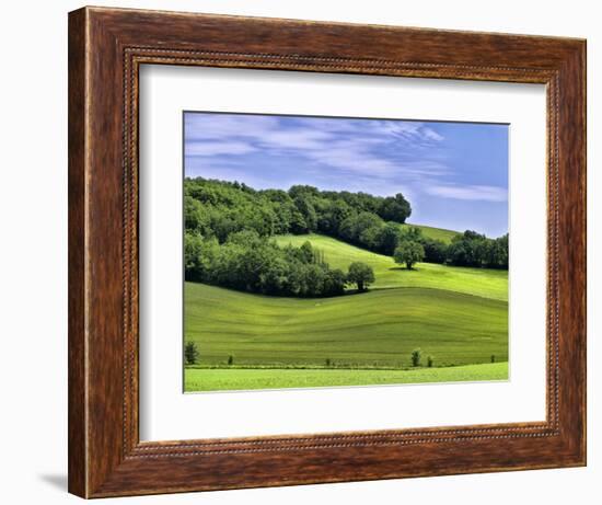 Pastoral Countryside II-Colby Chester-Framed Photographic Print