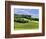 Pastoral Countryside II-Colby Chester-Framed Photographic Print