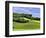 Pastoral Countryside II-Colby Chester-Framed Photographic Print