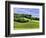 Pastoral Countryside II-Colby Chester-Framed Photographic Print