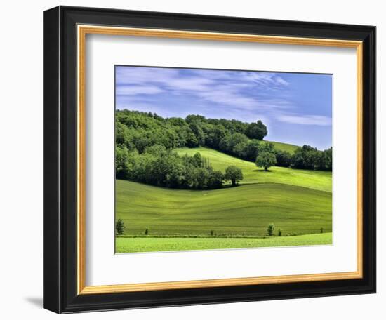 Pastoral Countryside II-Colby Chester-Framed Photographic Print