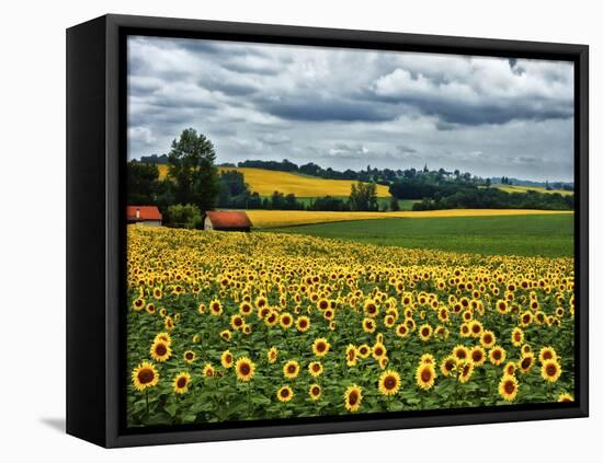 Pastoral Countryside IV-Colby Chester-Framed Premier Image Canvas