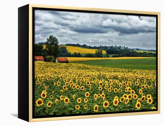 Pastoral Countryside IV-Colby Chester-Framed Premier Image Canvas