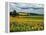 Pastoral Countryside IV-Colby Chester-Framed Premier Image Canvas