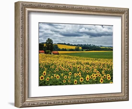 Pastoral Countryside IV-Colby Chester-Framed Photographic Print