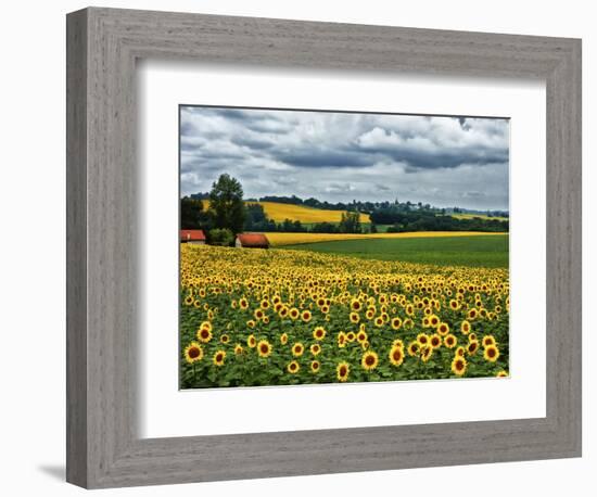 Pastoral Countryside IV-Colby Chester-Framed Photographic Print