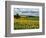 Pastoral Countryside IV-Colby Chester-Framed Photographic Print