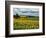 Pastoral Countryside IV-Colby Chester-Framed Photographic Print