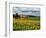 Pastoral Countryside IV-Colby Chester-Framed Photographic Print