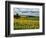 Pastoral Countryside IV-Colby Chester-Framed Photographic Print