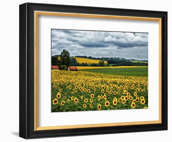 Pastoral Countryside IV-Colby Chester-Framed Photographic Print