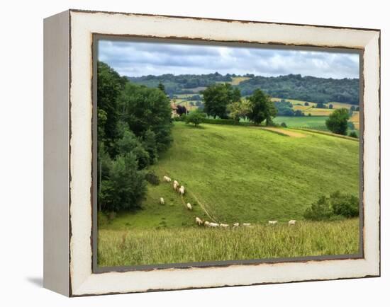 Pastoral Countryside V-Colby Chester-Framed Premier Image Canvas