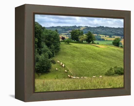 Pastoral Countryside V-Colby Chester-Framed Premier Image Canvas