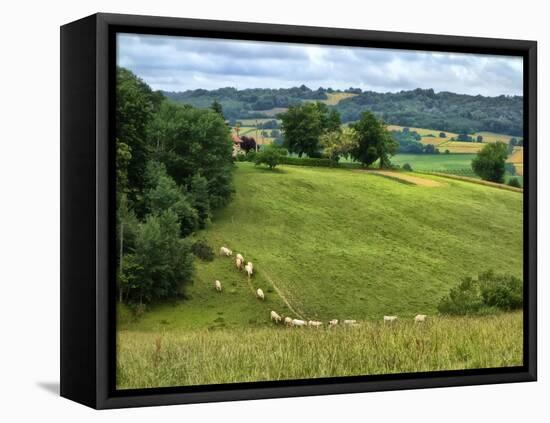 Pastoral Countryside V-Colby Chester-Framed Premier Image Canvas
