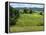 Pastoral Countryside V-Colby Chester-Framed Premier Image Canvas